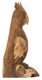 ML-353501-Rio-parrot_2