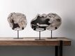 ML-890932-Fossil-statue_sf2_DTP