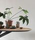TI-Shape-dining-table-oval_detail2_DTP