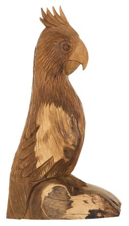 ML-353501-Rio-parrot_1_1