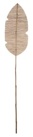 ML-530815-Banana-leaf-175_1_1