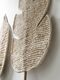 ML-842791-Ageal-leaf-ML-842790-Persica-leaf_detail1_DTP_4