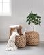 ML-842920-Carlos-basket_sf1_DTP_2