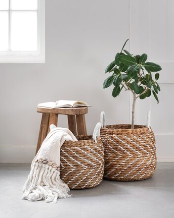ML-842920-Carlos-basket_sf1_DTP_2