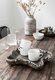 ML-430953-Coral-tray_sf2_DTP