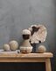 ML-855920-Beach-shell-ML-886005-Coco-ML-890932-Fossil_sf1_DTP_2