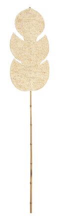 ML-842790-Persica-leaf_2_2