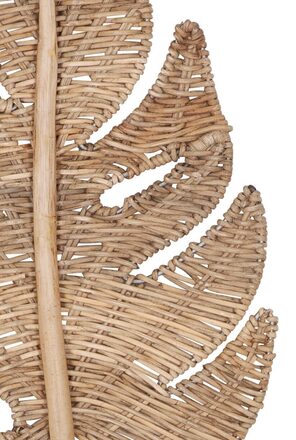 ML-524349-Peach-leaf-small_2