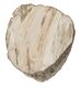 ML-325138-Rocca-coffee-table_2_2