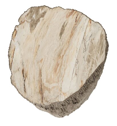 ML-325138-Rocca-coffee-table_2_2