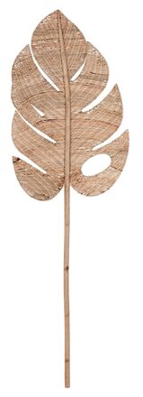 ML-524346-Peach-leaf-large_1