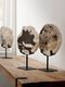 ML-890932-Fossil-statue_sf1_DTP_1