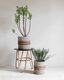 ML-530116-Carvoeiro-baskets-large-S2-ML-Buenavista-side-table-ML-Carnelian-carpet_sf1_DTP_3