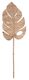 ML-524346-Peach-leaf-large_1_1
