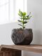 ML-430944-Coral-bowl_sf1_DTP