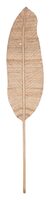 ML-524344-Banana-leaf-large_1_5