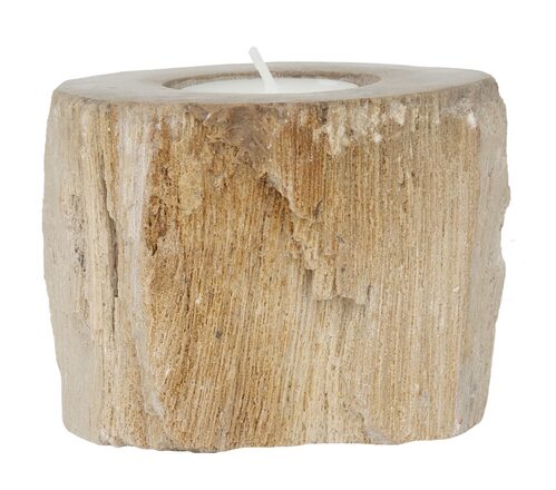 ML-852016-Fossil-candle-holder-set-of-2_1