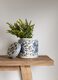 ML-885102-Delft-Blue-storage-jar-medium_sf1_DTP