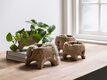 ML-490401-Antiques-Lumpang-bowl_sf2a_DTP_4